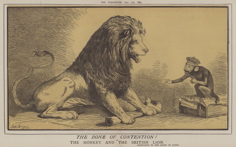 Kość niezgody! lub The Monkey and the British Lion (kolor lito) autorstwa Matthew