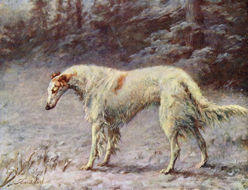 Mistrz Ivan Turgeneff autorstwa Maud Earl