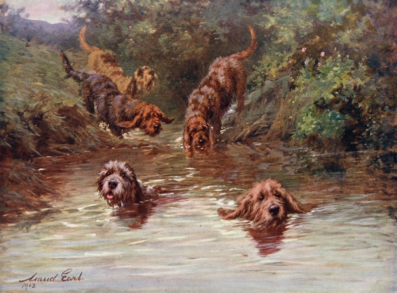 Zabranie do wody autorstwa Maud Earl