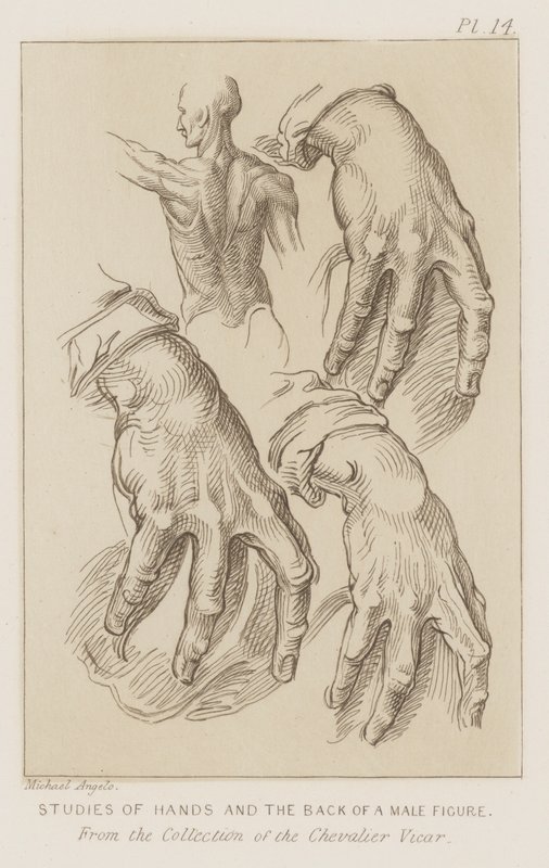 Badania dłoni i tyłu sylwetki męskiej (akwaforta) autorstwa Michelangelo (after) Buonarroti
