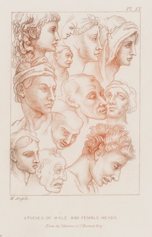 Badania głów męskich i żeńskich (akwaforta) autorstwa Michelangelo (after) Buonarroti