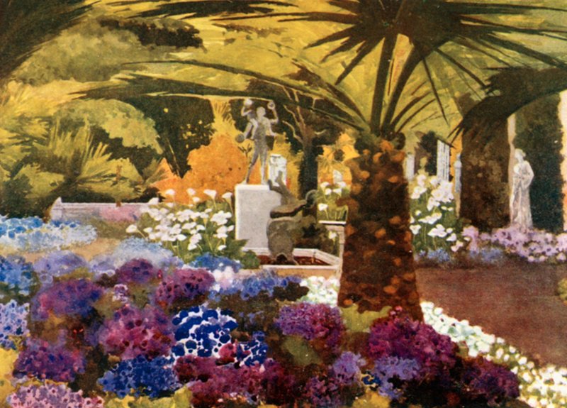 Cinerarias, Achilleion, Korfu autorstwa Mima Nixon