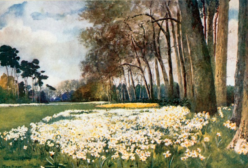 Park, Sandringham autorstwa Mima Nixon