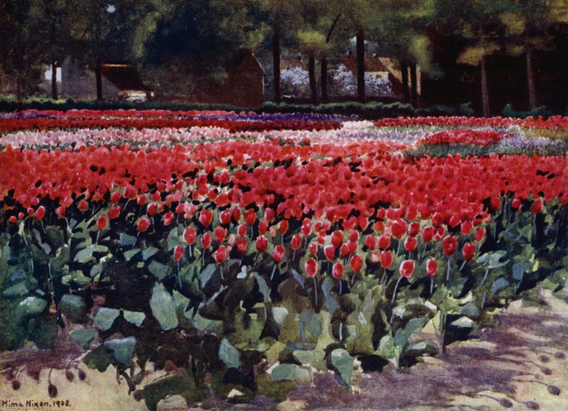 Tulipany w najlepszym wydaniu (kolor lito) autorstwa Mima Nixon