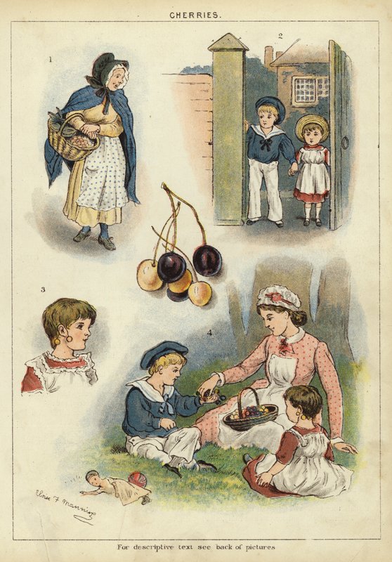 Wiśnie (chromolitho) autorstwa Miss Eliza F. Manning