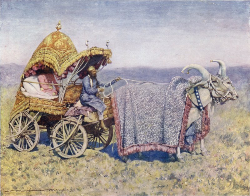 Rodzimy wózek Bullock z Bikanir autorstwa Mortimer Ludington Menpes