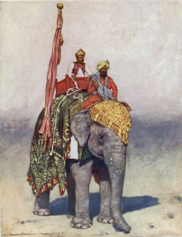Słoń z Jaipuru autorstwa Mortimer Ludington Menpes