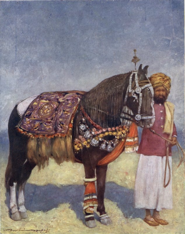 Koń z Jodhpur (kolor lito) autorstwa Mortimer Ludington Menpes