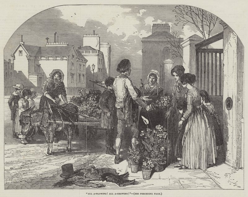 Wszystkie ciosy! Wszystko rośnie! autorstwa Myles Birket Foster