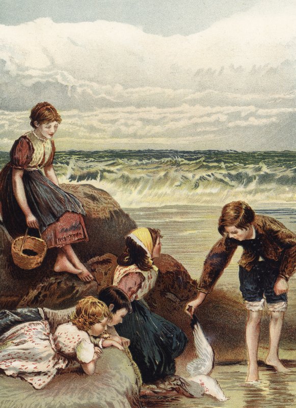 Letnie Radości autorstwa Myles Birket Foster