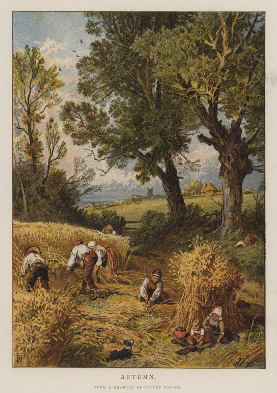 Jesień (litografia barwna) autorstwa Myles Birket (after) Foster