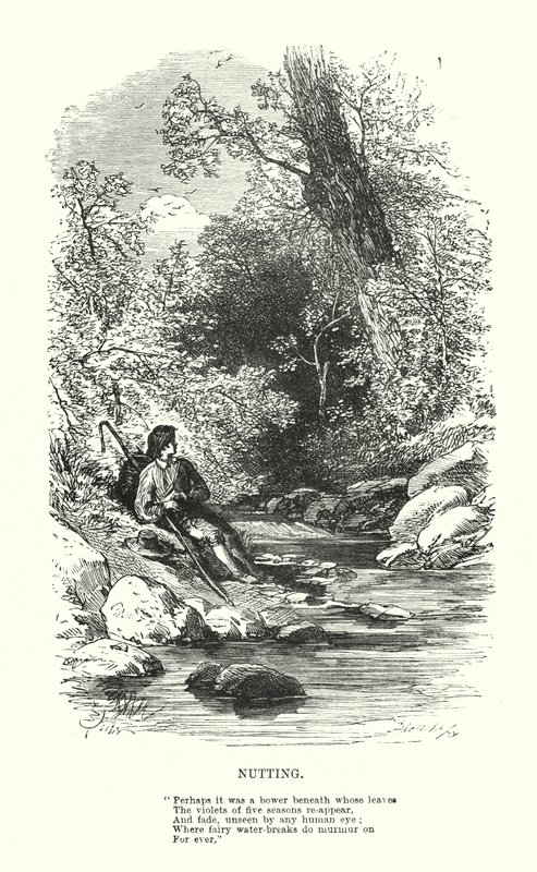 William Wordsworth: Nutting (grawerowanie) autorstwa Myles Birket (after) Foster
