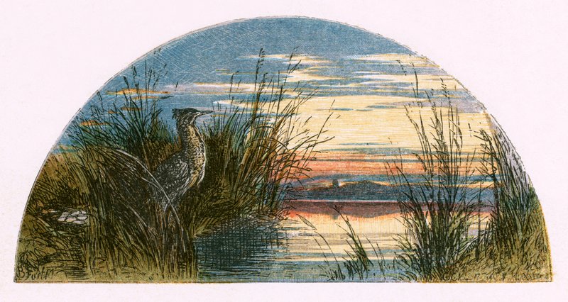 Ilustracja do „Opuszczonej wioski” autorstwa Myles Birket Foster