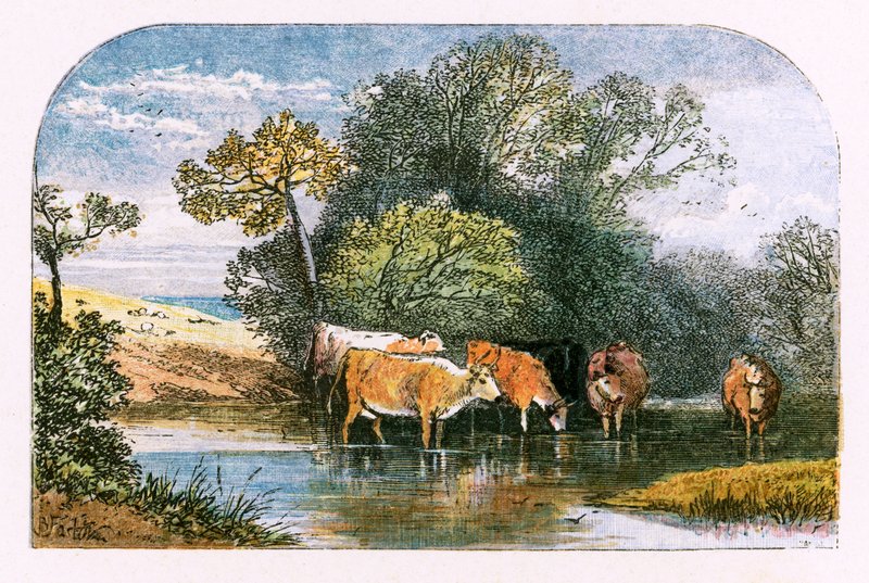 Ilustracja do „Opuszczonej wioski” autorstwa Myles Birket Foster