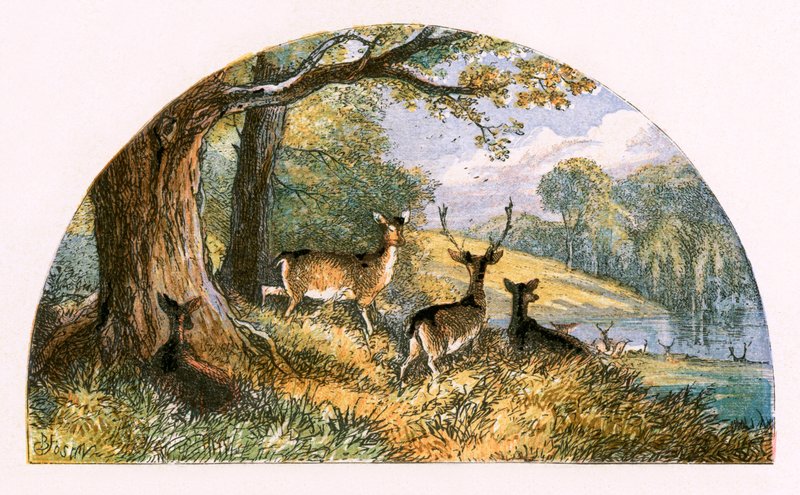 Ilustracja do „Opuszczonej wioski” autorstwa Myles Birket Foster