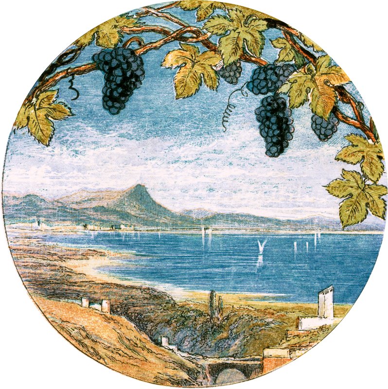 Ilustracja do filmu „Podróżnik” autorstwa Myles Birket Foster