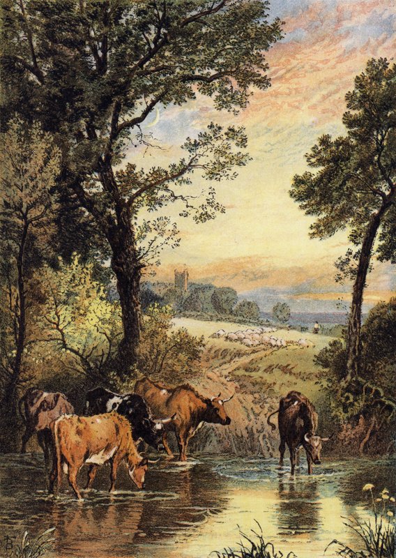 Letni wieczór autorstwa Myles Birket Foster