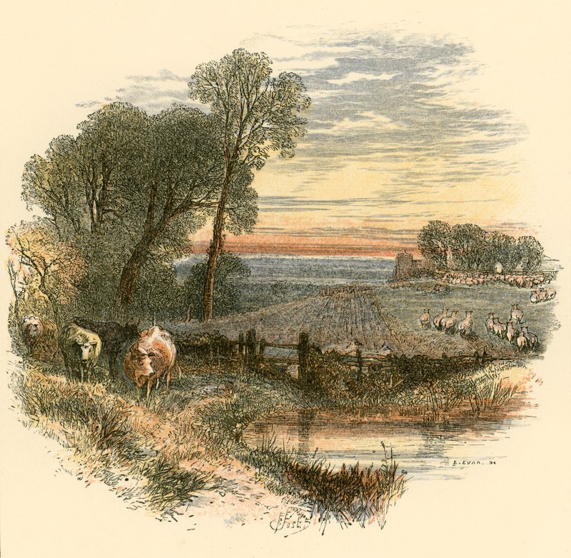 niedziela autorstwa Myles Birket Foster