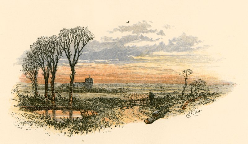 Niedzielny spacer wieczorem autorstwa Myles Birket Foster