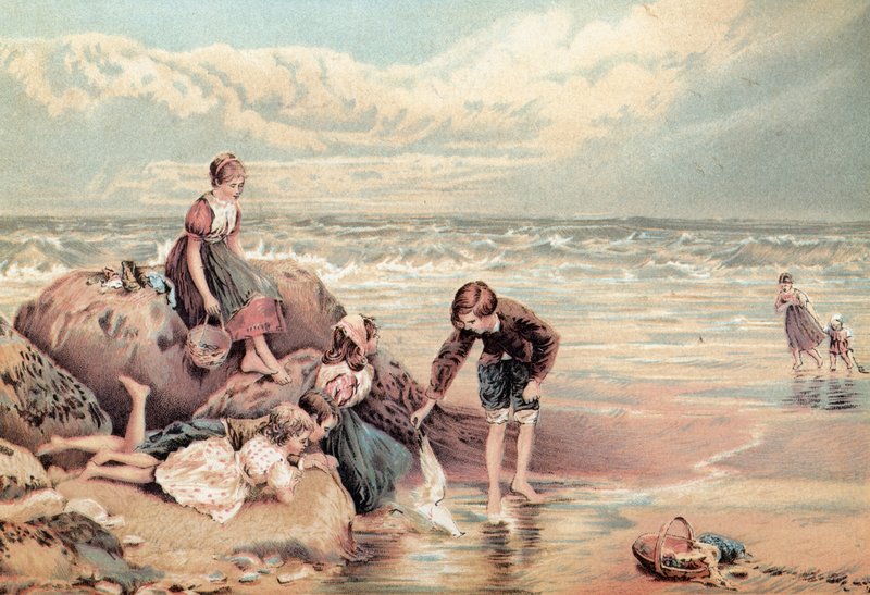 Ptak z Morza Martwego autorstwa Myles Birket Foster