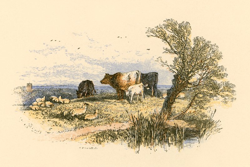 Dzwony kościelne autorstwa Myles Birket Foster