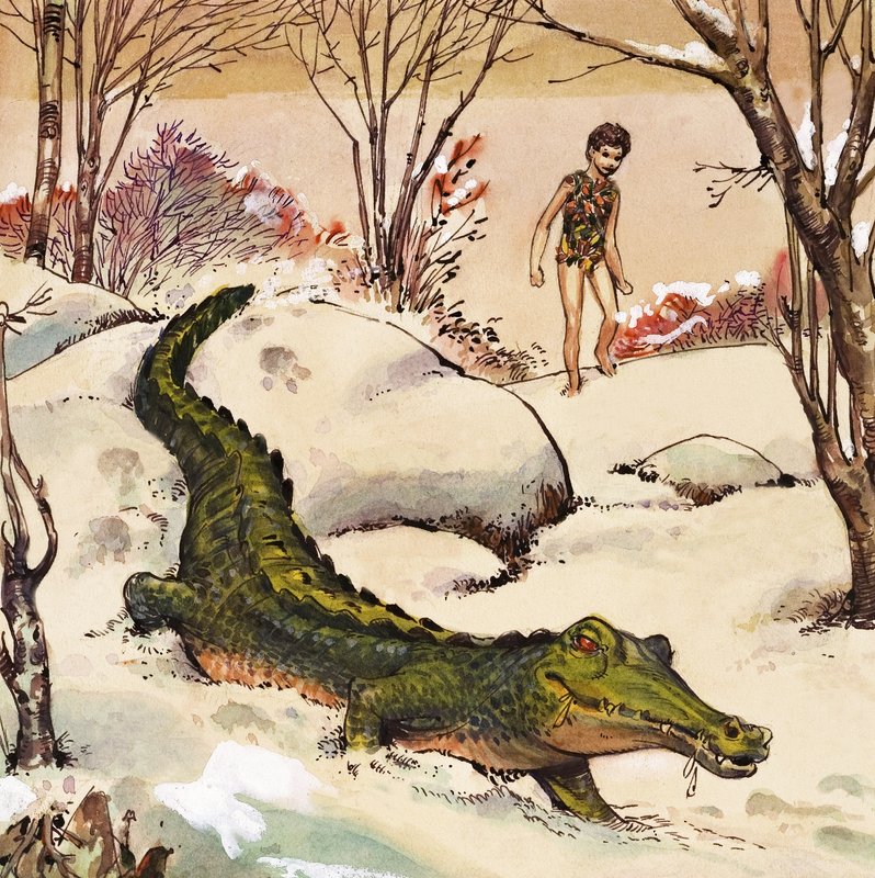Piotruś podąża za krokodylem, ilustracja z "Piotrusia Pana" J.M. Barrie (gwasz na papierze) autorstwa Nadir Quinto