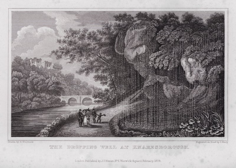 The Dropping Well w Knaresborough (grawerowanie) autorstwa Nathaniel (after) Whittock
