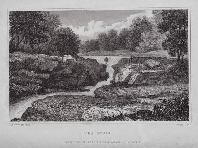 The Strid (grawerowanie) autorstwa Nathaniel (after) Whittock