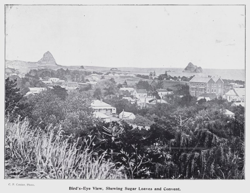 New Plymouth, Nowa Zelandia: widok z lotu ptaka, bochenki cukru i klasztor (zdjęcie czarno-białe) autorstwa New Zealand Photographer