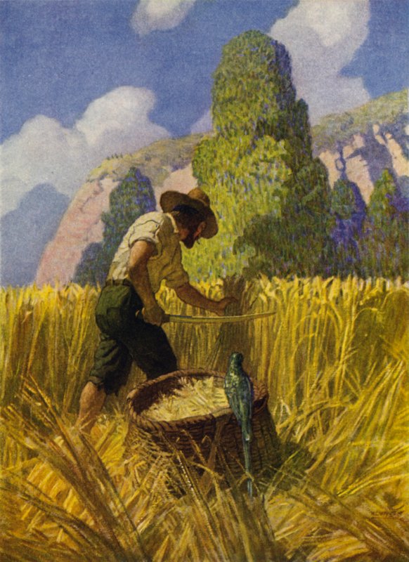 Ilustracja do Robinsona Crusoe (kolor lito) autorstwa Newell Convers (after) Wyeth