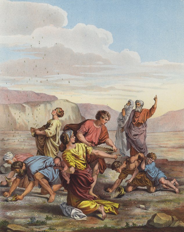 Hebrajczycy zbierający mannę z nieba na pustyni autorstwa Nicolas Poussin