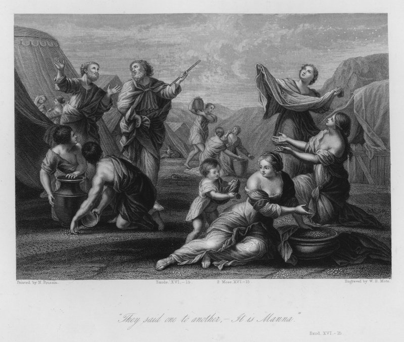 Zbieranie manny, Księga Wyjścia XVI autorstwa Nicolas (after) Poussin
