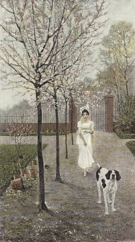 Wiosenne kwiaty autorstwa Nicolaus Geiger