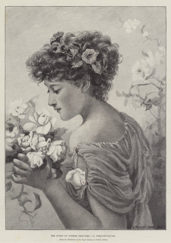Duch letnich perfum autorstwa Norman Prescott Davies