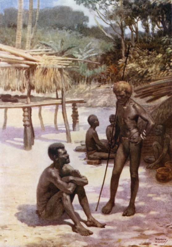 Szopa Yam na wyspie Tierra Espiritu Santo, Nowe Hebrydy (kolor lito) autorstwa Norman Hardy