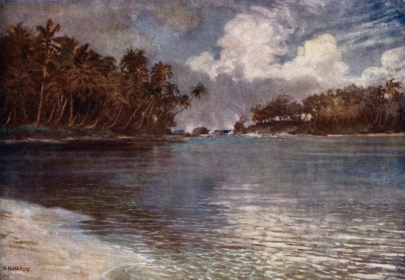 By Reef and Palm (kolor lito) autorstwa Norman Hardy