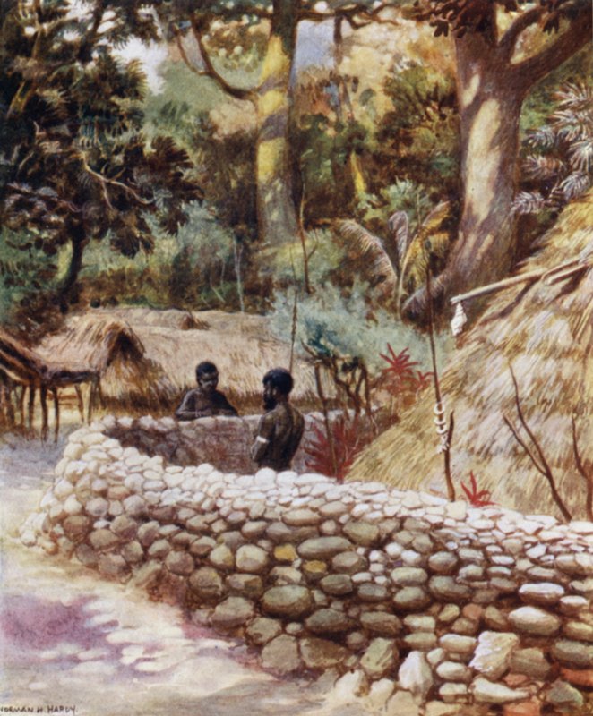 Dom Wodza, Ambryn, Nowe Hebrydy (kolor lito) autorstwa Norman Hardy