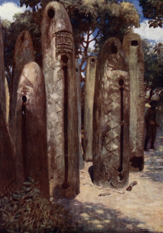 Drum Grove w Mele, Nowe Hebrydy (kolor lito) autorstwa Norman Hardy