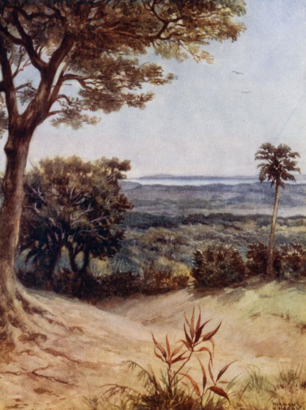 Port Havannah, Rathmoy, Nowe Hebrydy (kolor lito) autorstwa Norman Hardy