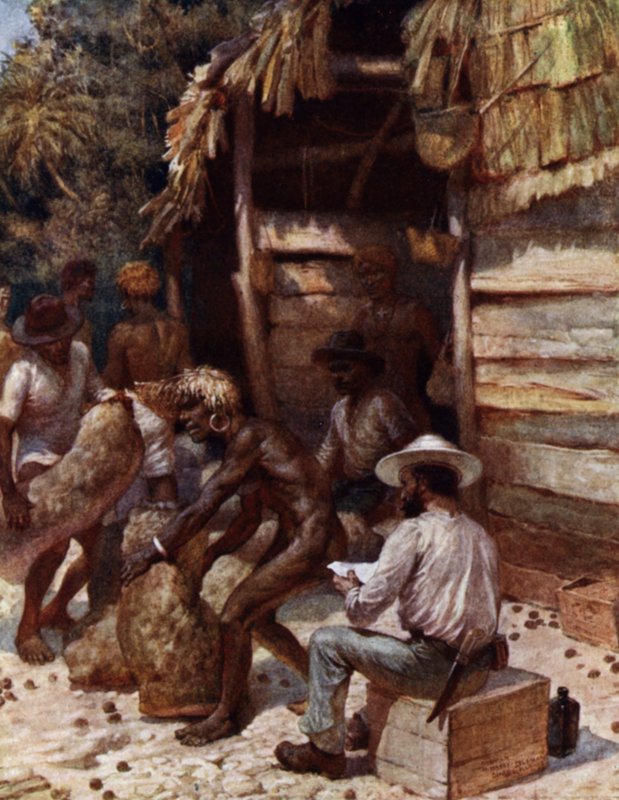 Johnnie Pratt ze swoimi Ivory Nuts w Simbo, Wyspy Salomona (kolor lito) autorstwa Norman Hardy
