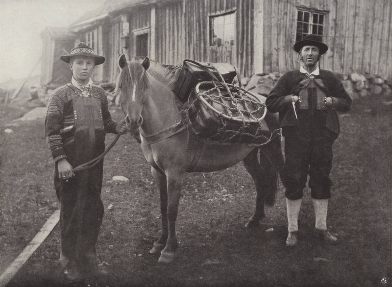 Saetersdalen Highlanders z jucznym koniem autorstwa Norwegian Photographer