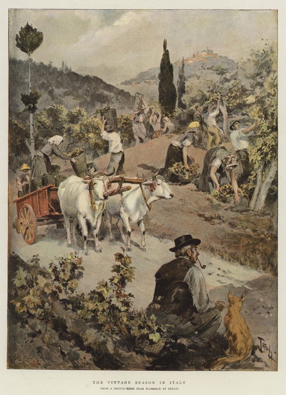 Sezon Vintage we Włoszech autorstwa Oswaldo Tofani