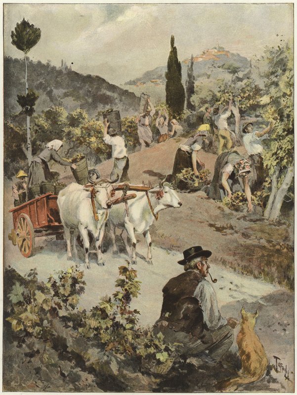 Sezon vintage we Włoszech autorstwa Oswaldo Tofani