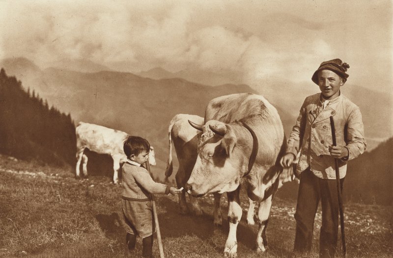 Na Alpach autorstwa Otto Ballerstedt