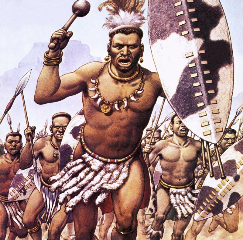 Wojownik Zulu autorstwa Pat (1907-95) Nicolle