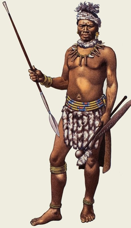 Wojownik Zulu autorstwa Pat (1907-95) Nicolle