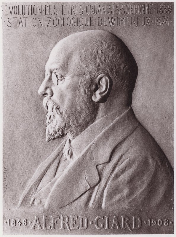 Alfred Giard (1846-1908), zoolog, portret (lito) autorstwa Paul Marie Louis Pierre Richer