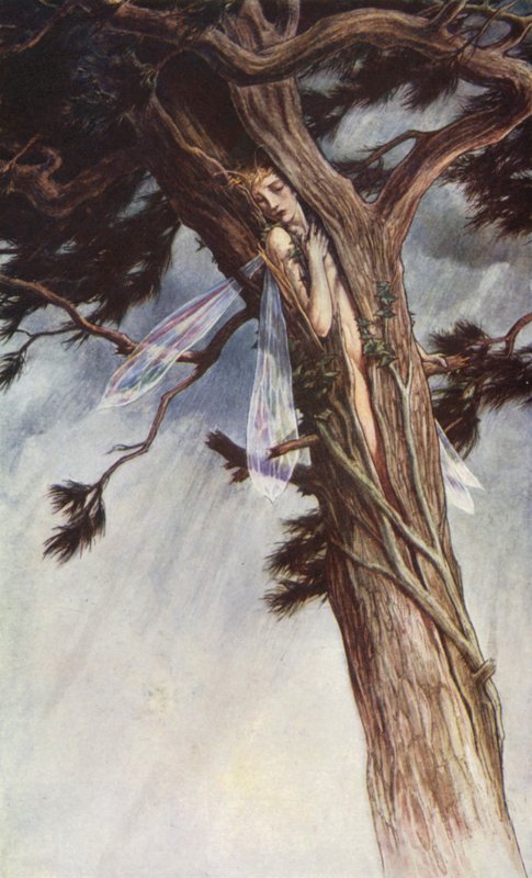 Burza Williama Szekspira, Akt I, Scena 2 (litografia kolorowa) autorstwa Paul Vincent Woodroffe