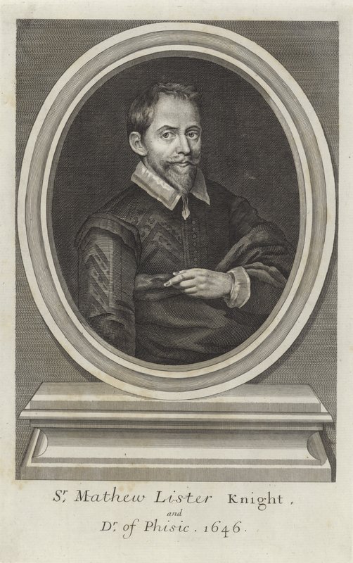 Sir Mateusz Lister autorstwa Paul van Somer