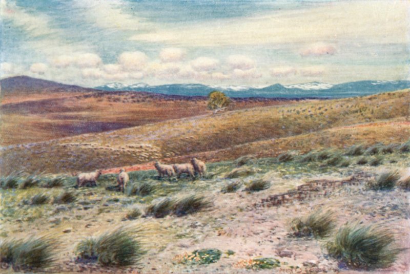 Snowy Mountains w pobliżu siedziby stolicy federalnej (kolor lito) autorstwa Percy F.S. (after) Spence